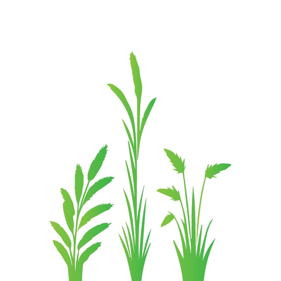 Grass green set on white background vector