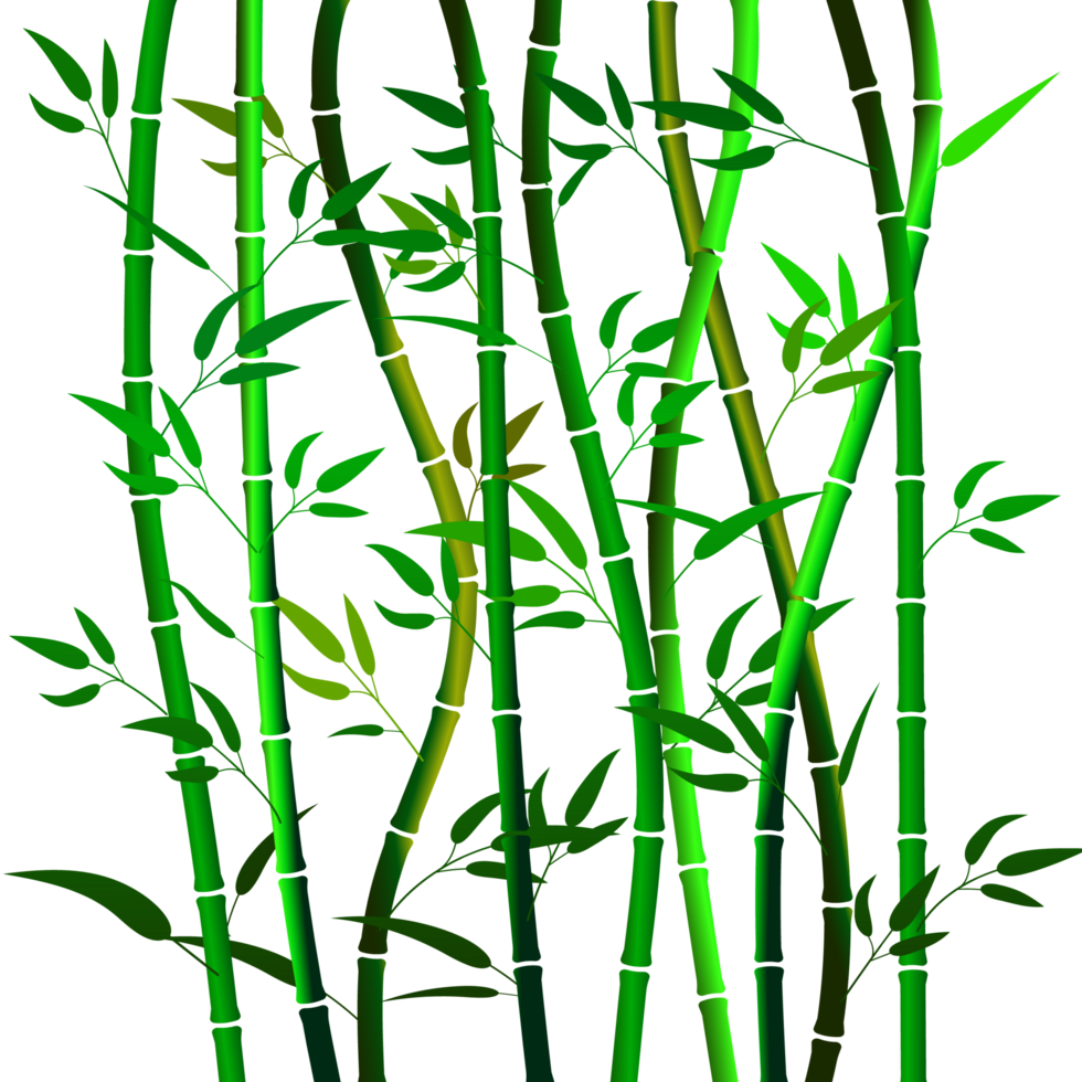 2d bamboo tree png