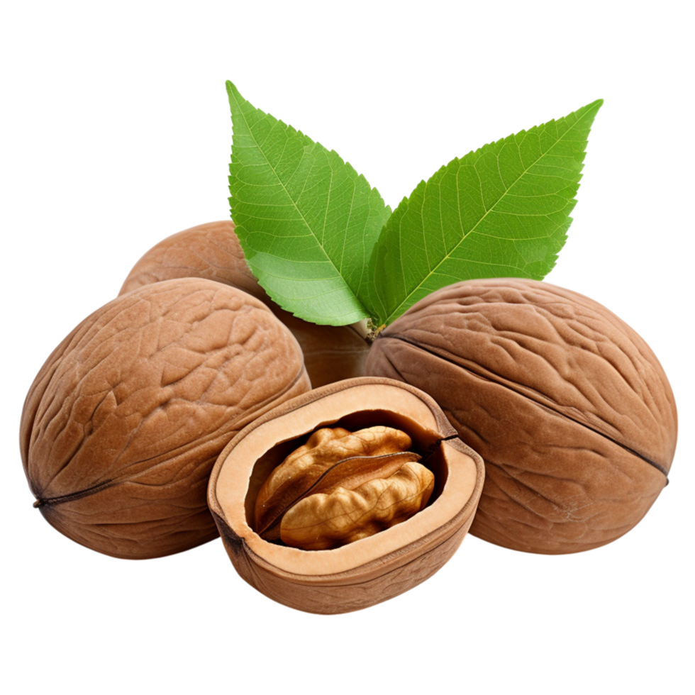 Fresh walnuts with leaves png