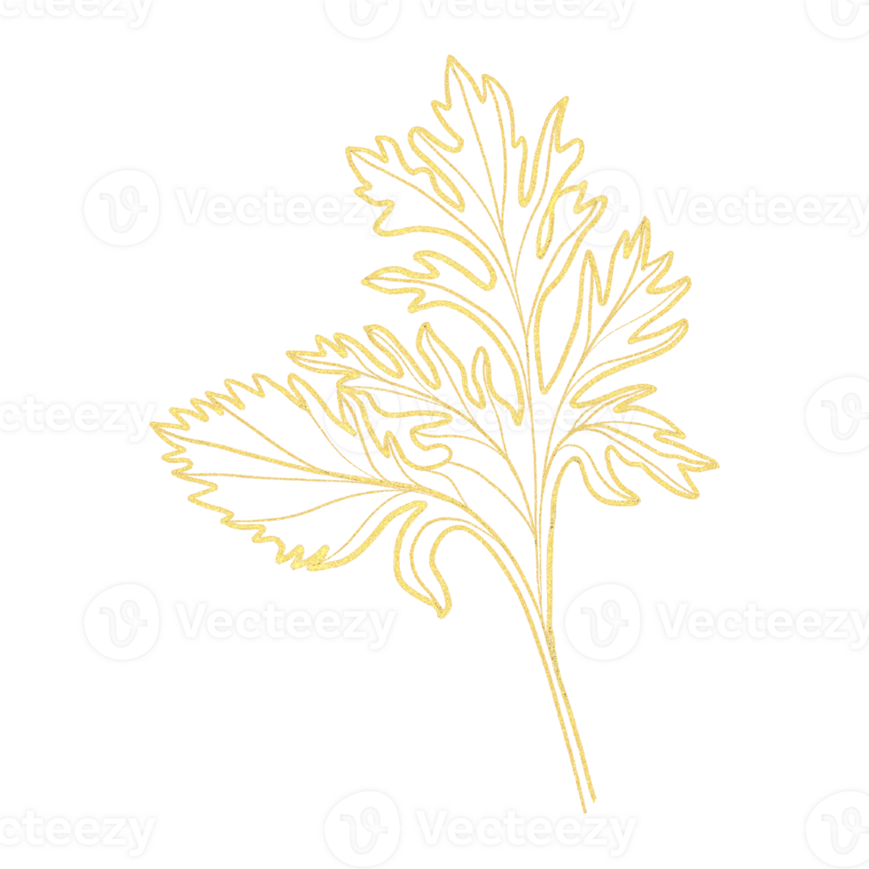Golden Silhouette Abstract Leaf Outlines png