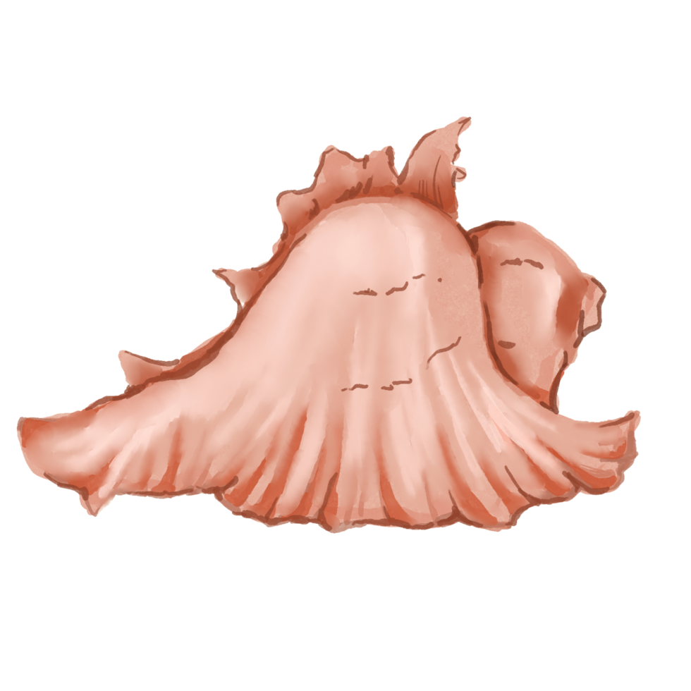sea summer shell png