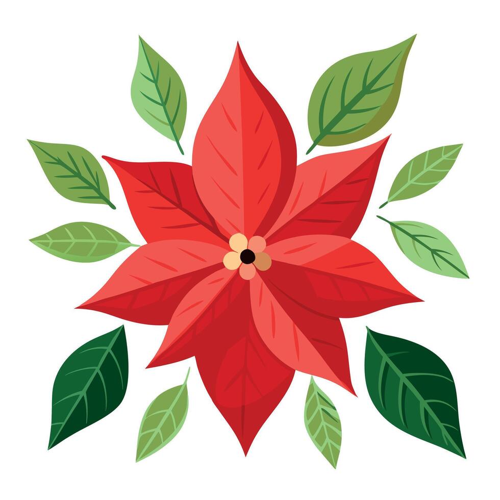 Set of watercolor christmas poinsettia and leaves. isolated on transparent background vector