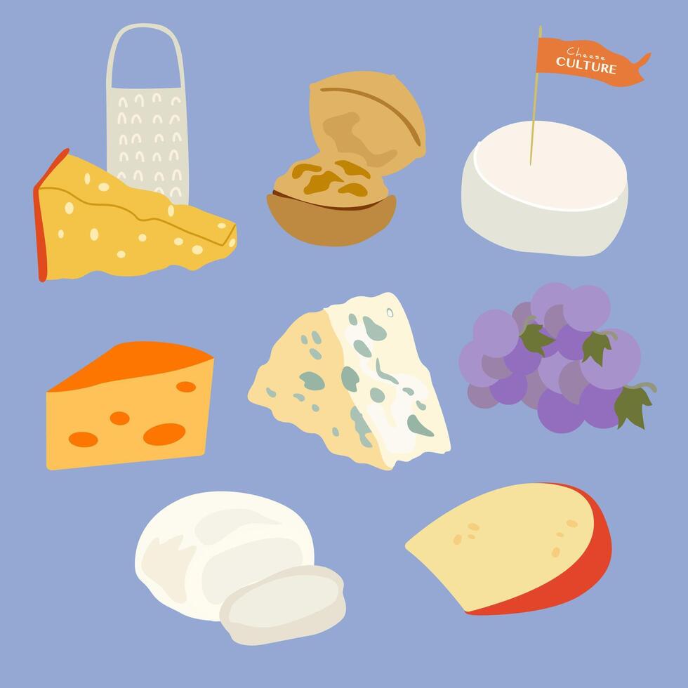 National Cheese Lovers Day. Various types of cheese set. Curd product for design, recipe book, advertising or restaurant menu. Brie cheese, dorblu, cheddar, parmesan, camembert vector