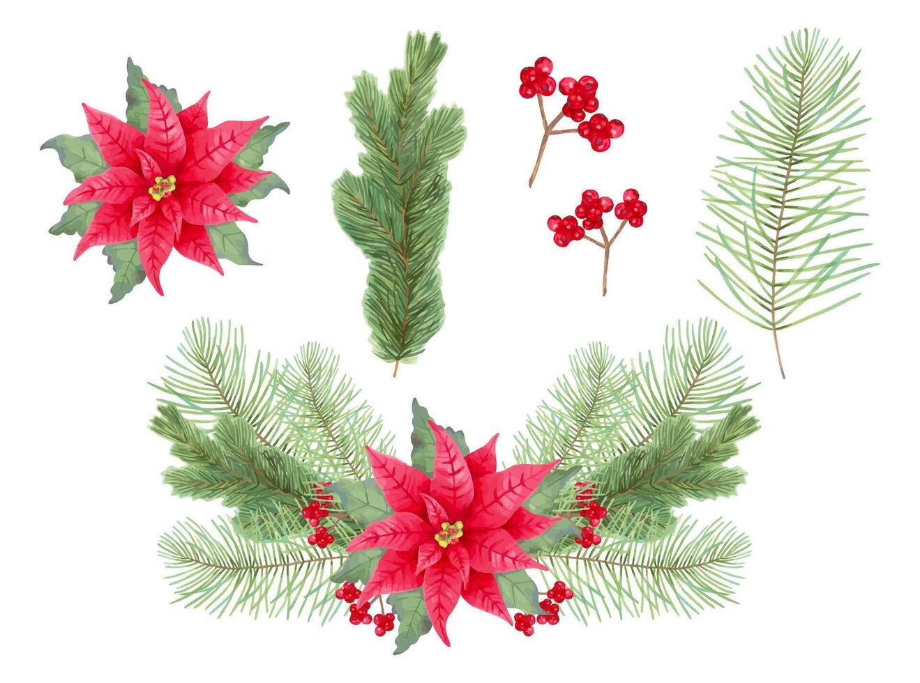 Christmas collection featuring poinsettia flower, holly berries, and evergreen pine, fir. Watercolor and marker illustration. Clipart of festive composition for New Year. Hand-drawn isolated art vector