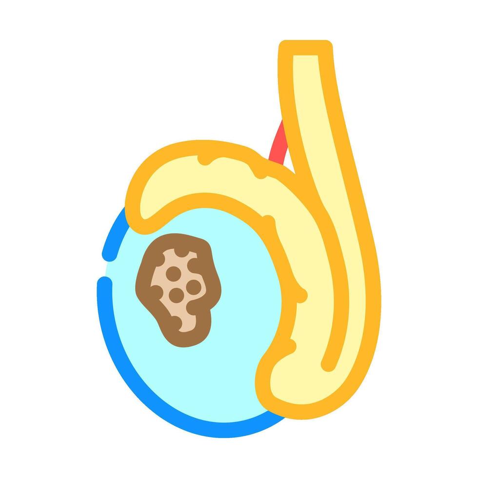 testicular cancer man disease color icon illustration vector