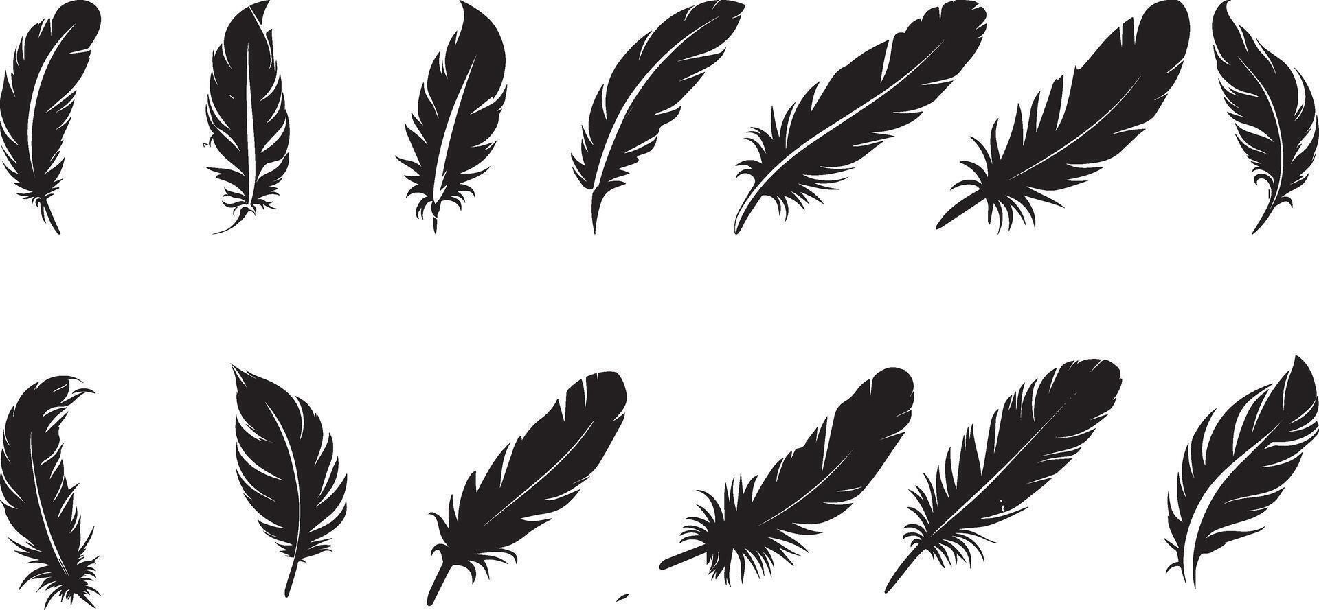 Feather icon set collection vector