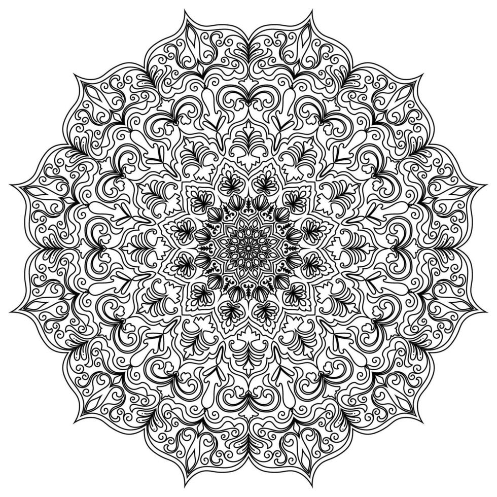 Black line art mandala featuring delicate and symmetrical designs on a white background vector