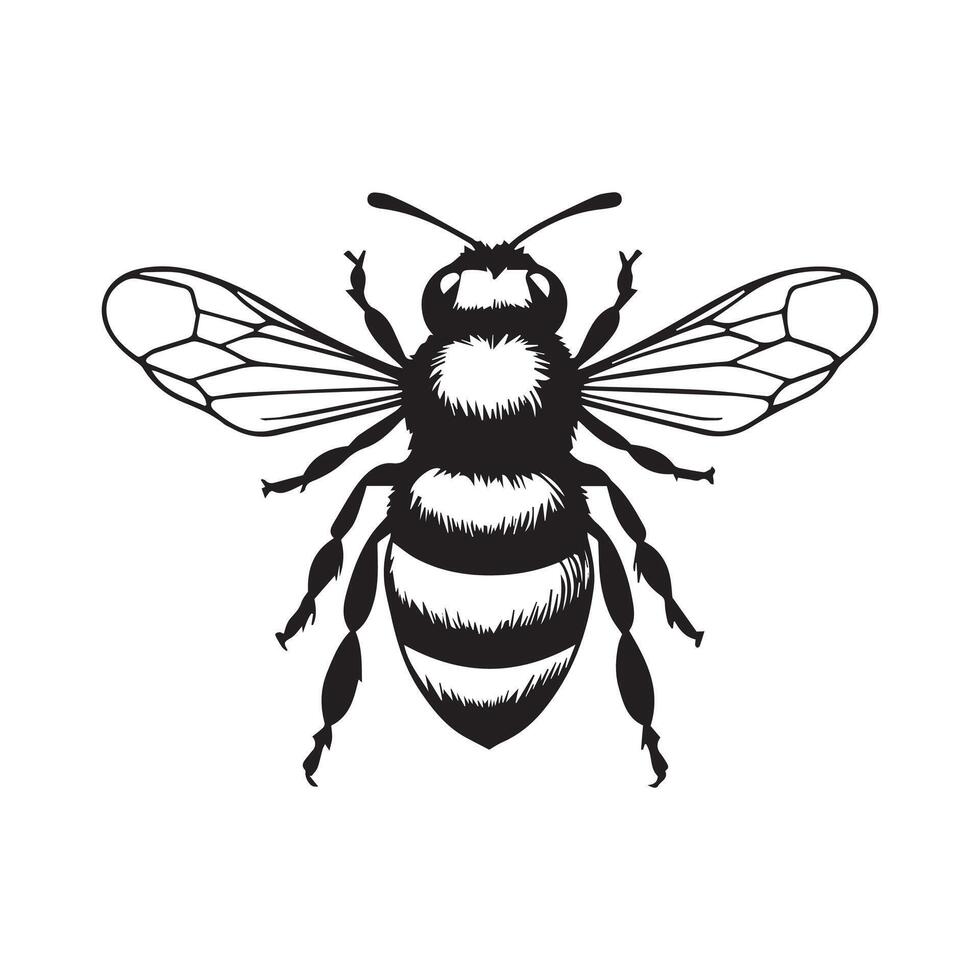 a black and white illustration of a bee vector