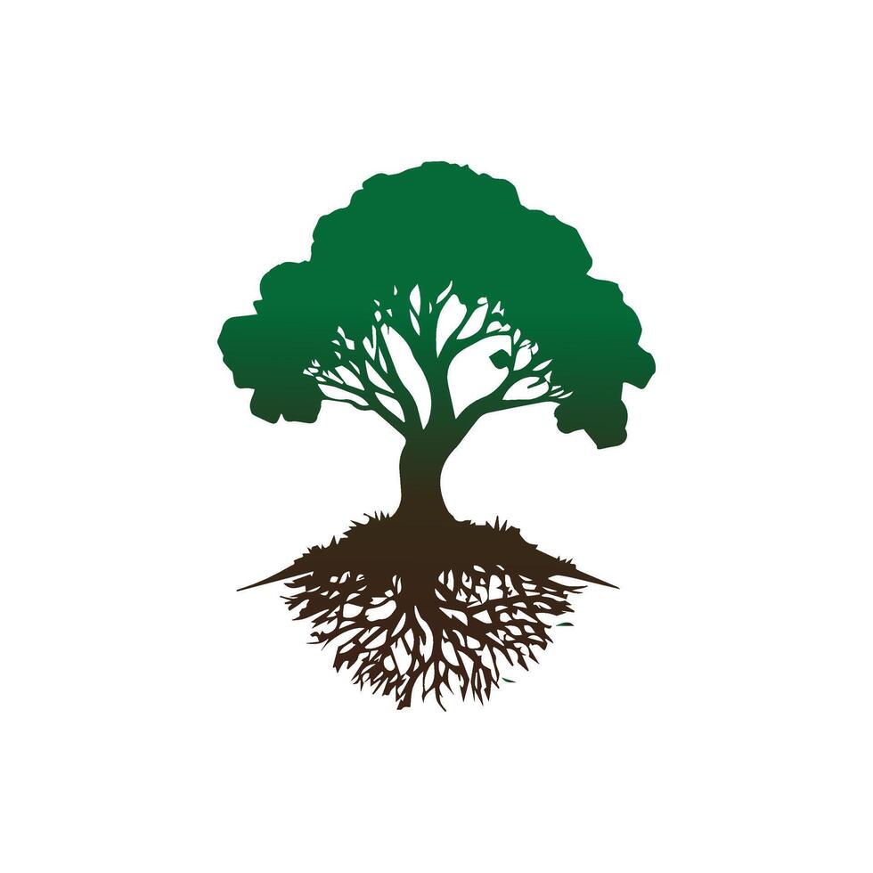 a tree with roots and leaves on a white background vector