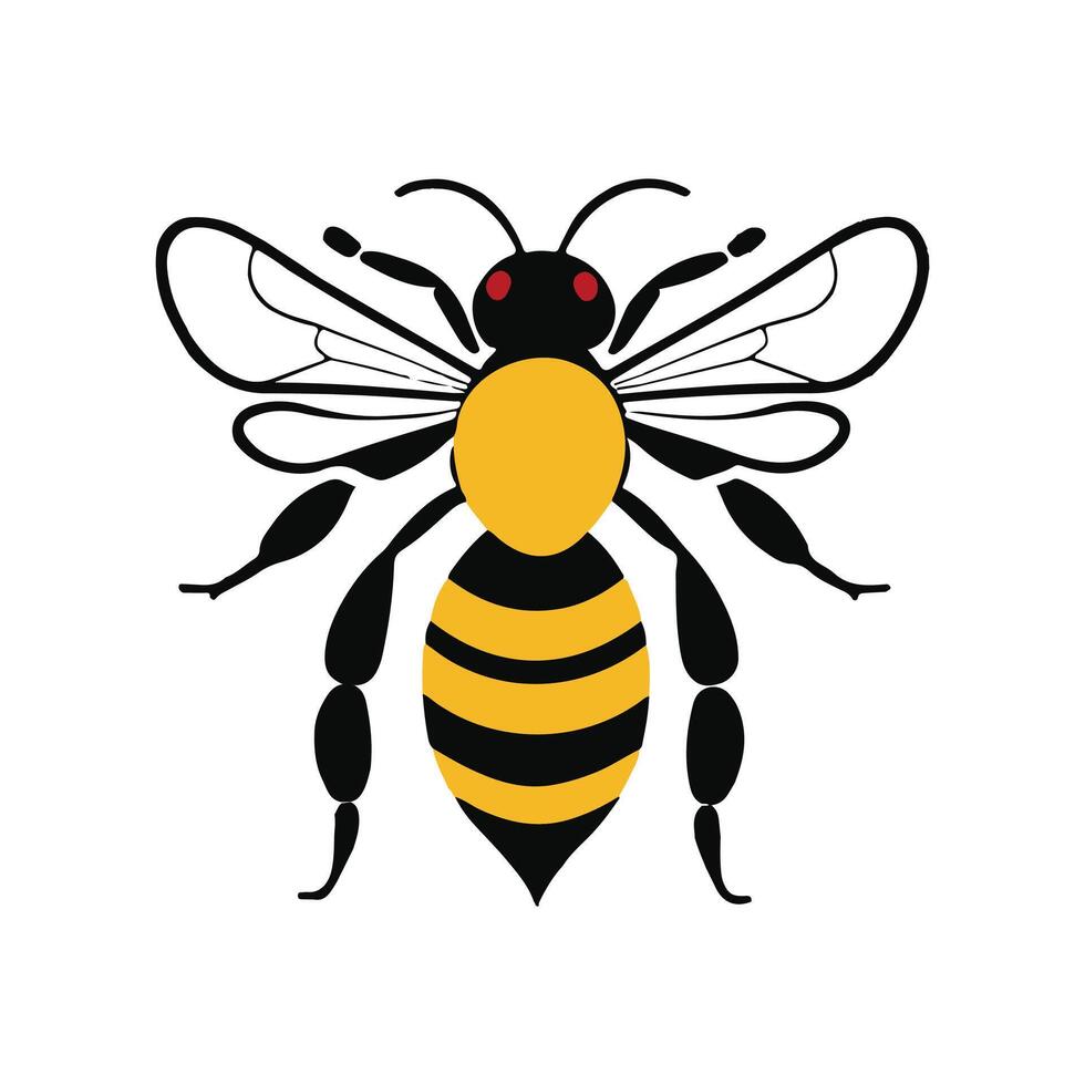 bee with black and yellow stripes on its body vector