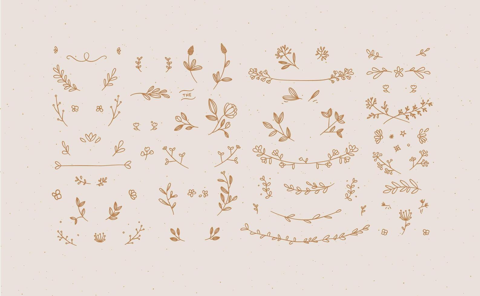 Elements flowers and branches to create label or sign in hand drawing style. Coffee color background. vector