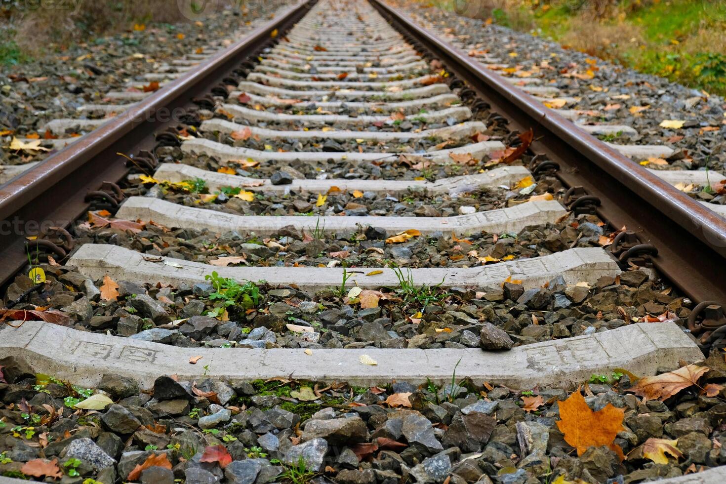 View of Railroad tracks stretching into the distance. Rails and sleepers are covered in rust and partially hidden by fallen leaves. Low viewpoint, industrial style. Blurred background photo