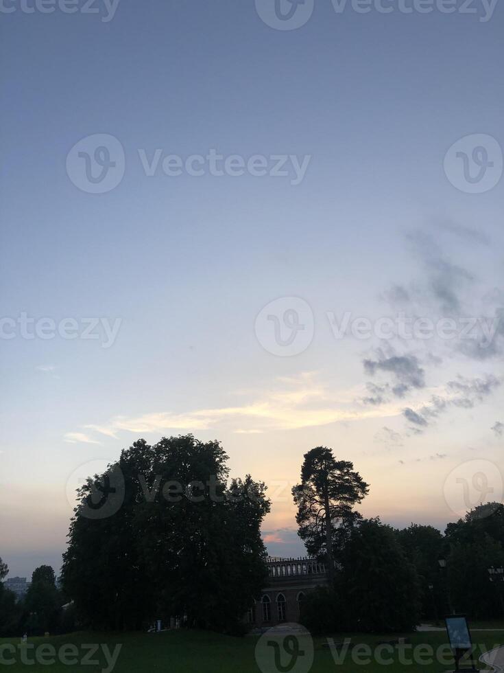 The setting sun behind trees photo