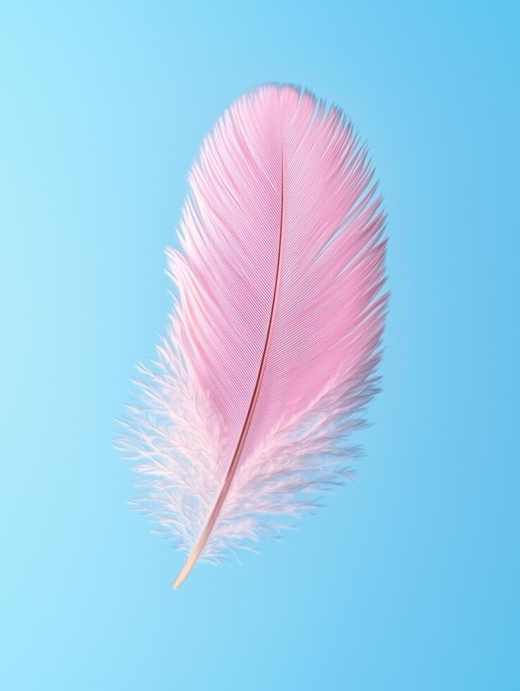 Soft pink feather against a vibrant blue background photo