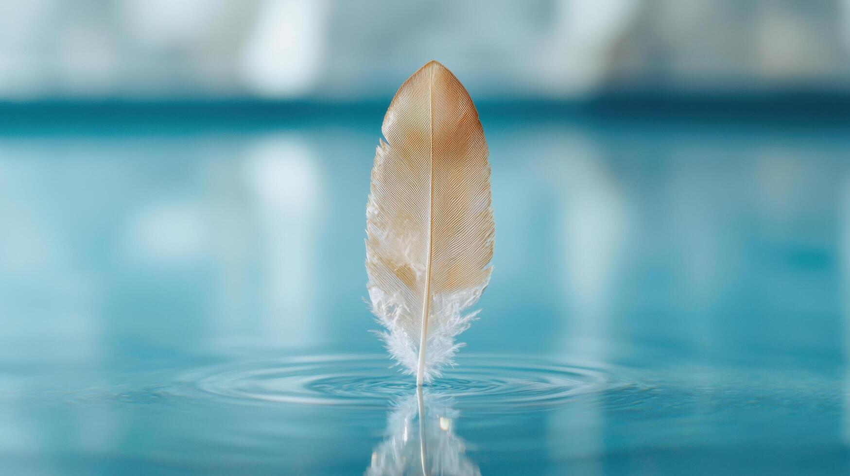 Feather floating on water surface photo