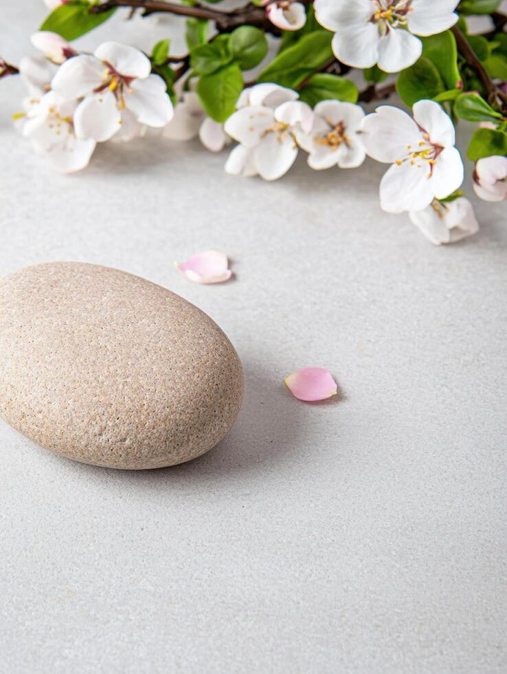 Serene spring blossom and stone zen spa background photo