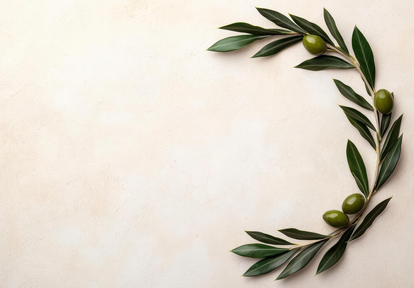 olive branch frame on plain background photo