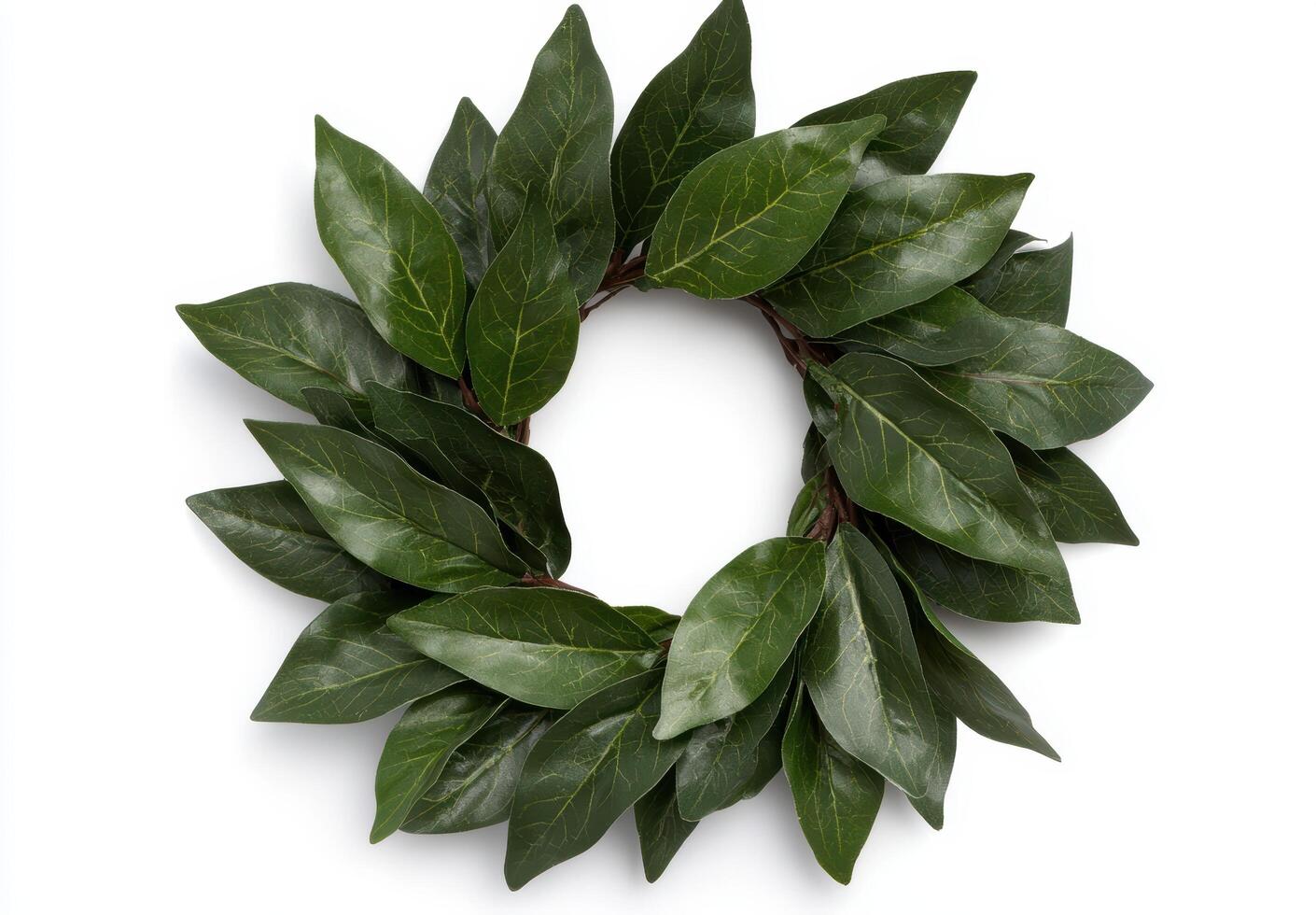 Wreath of fresh green bay leaves photo