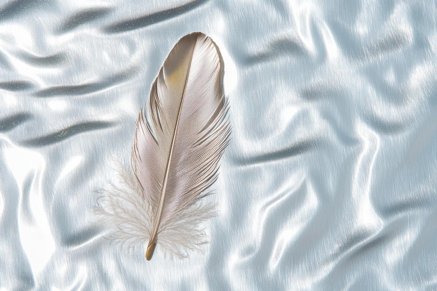 Delicate feather on shimmering fabric photo