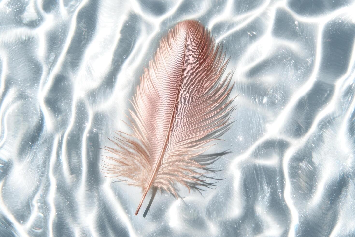 Delicate pink feather on a soft, textured background photo