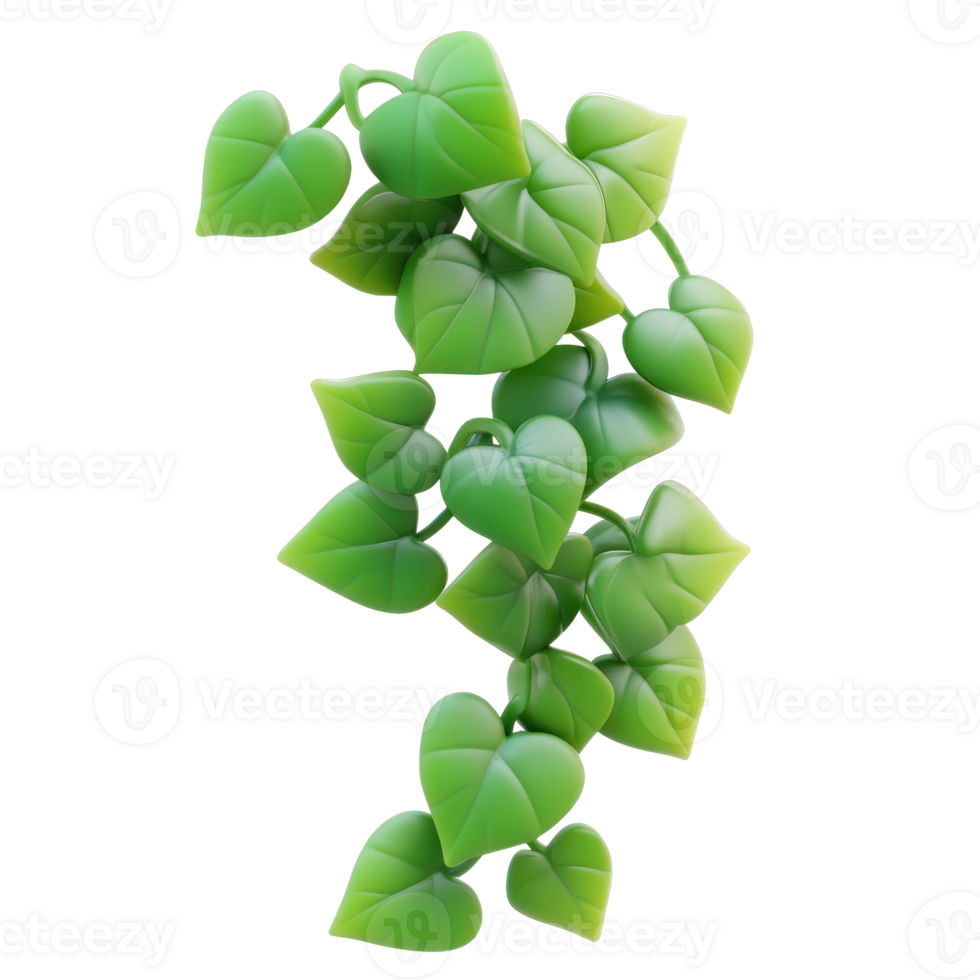 Ivy 3D icon isolate on transparent background png