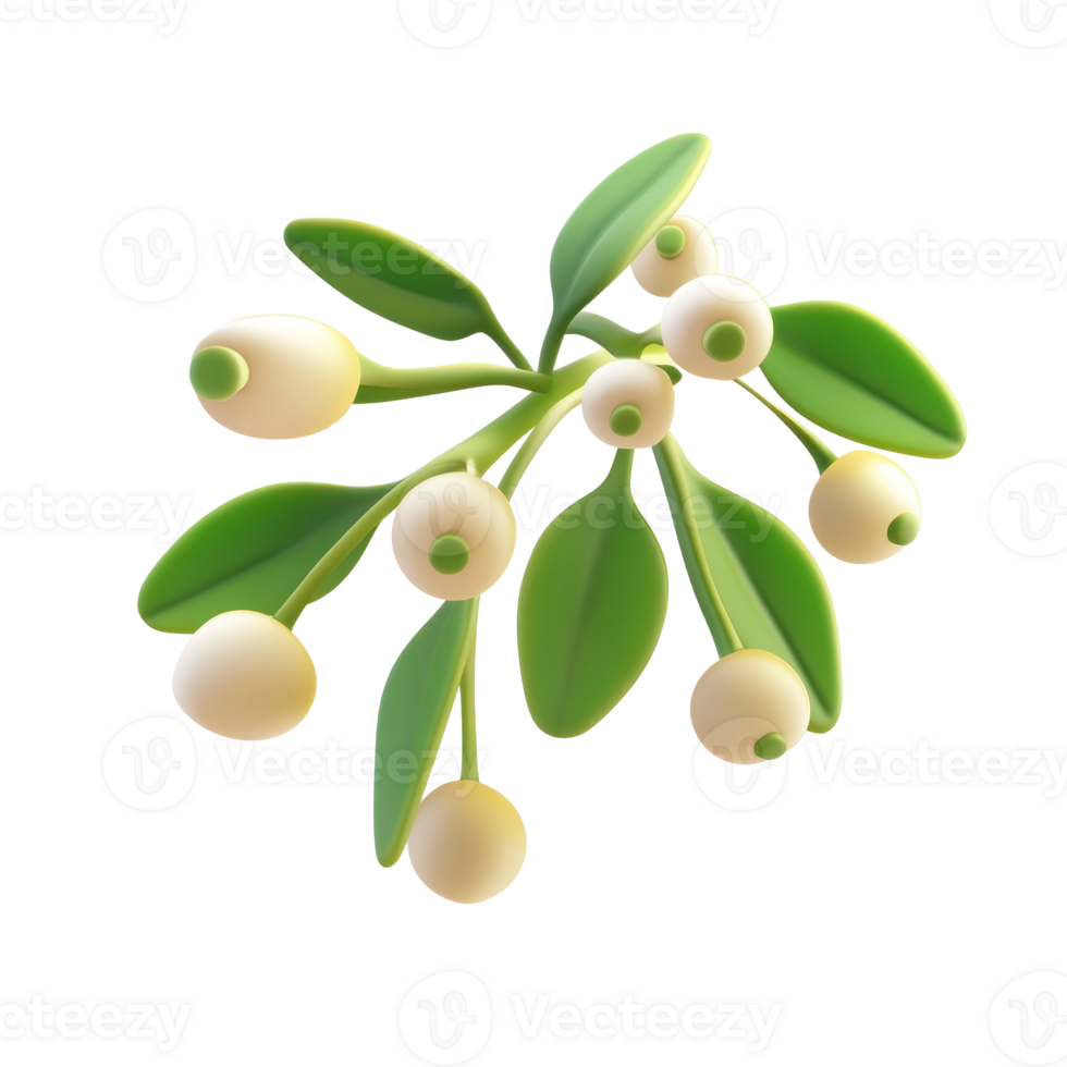 Mistletoe 3D icon cartoon smooth soft light isolate on transparent background png
