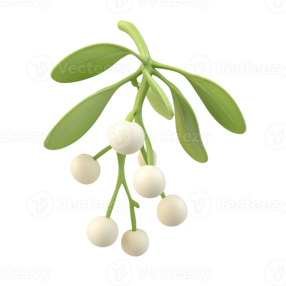 Mistletoe 3D icon isolate on transparent background png