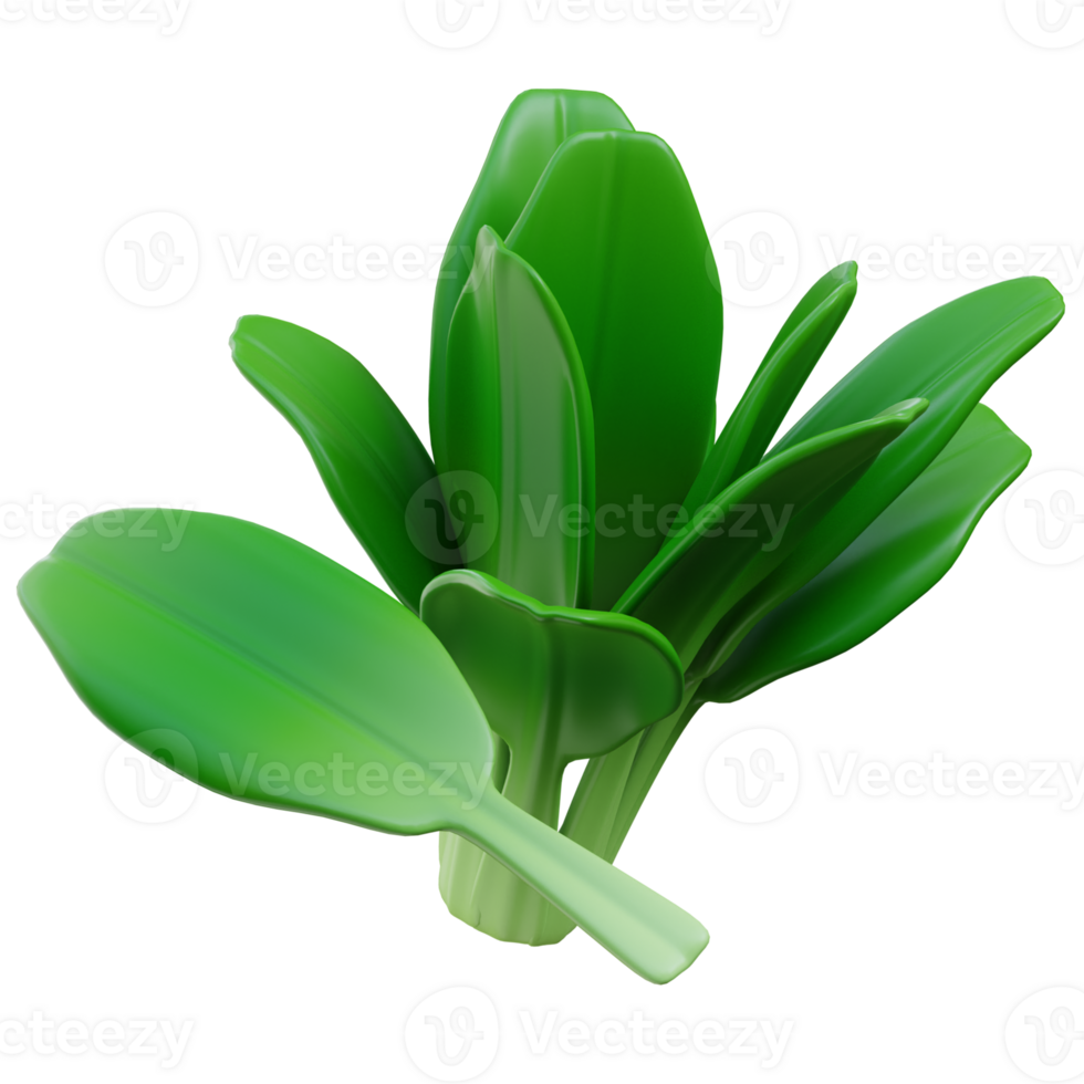 3D Spinach Icon Illustration Render png