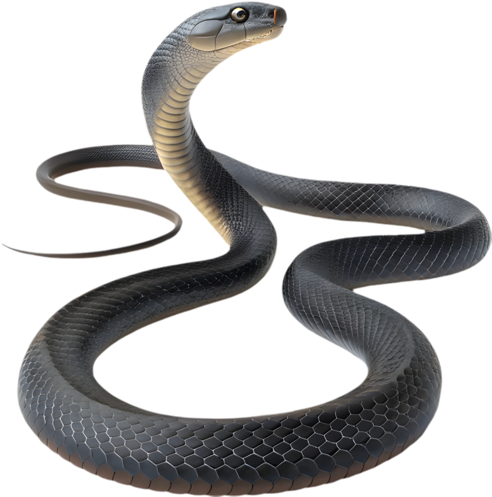 Detailed Illustration of Black Mamba Snake, Realistic. . png