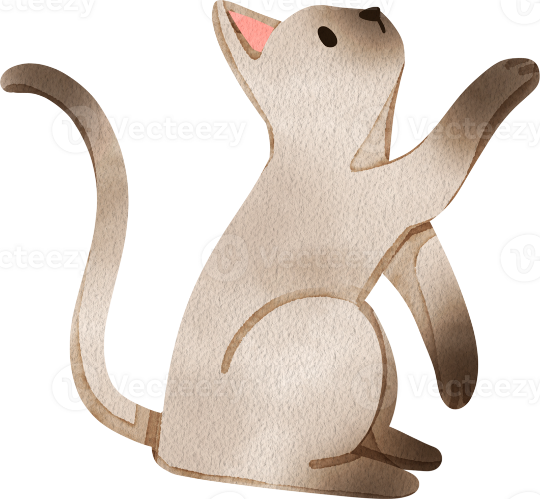 A cat is sitting, waving its paw to ask for food, hand-drawn watercolor illustration png