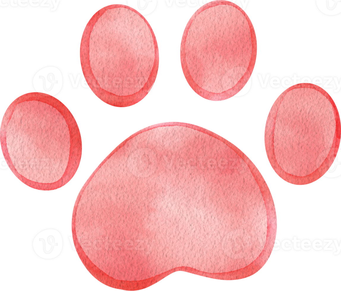 Four-toed animal tracks with paw prints, hand-drawn watercolor illustration png