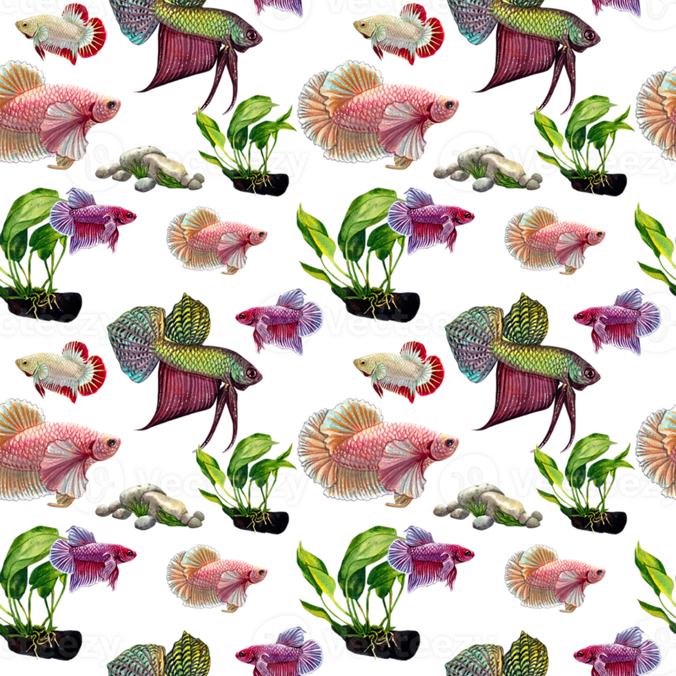 green betta pattern siamese wild bettas watercolor painting hand-drawn illustration png