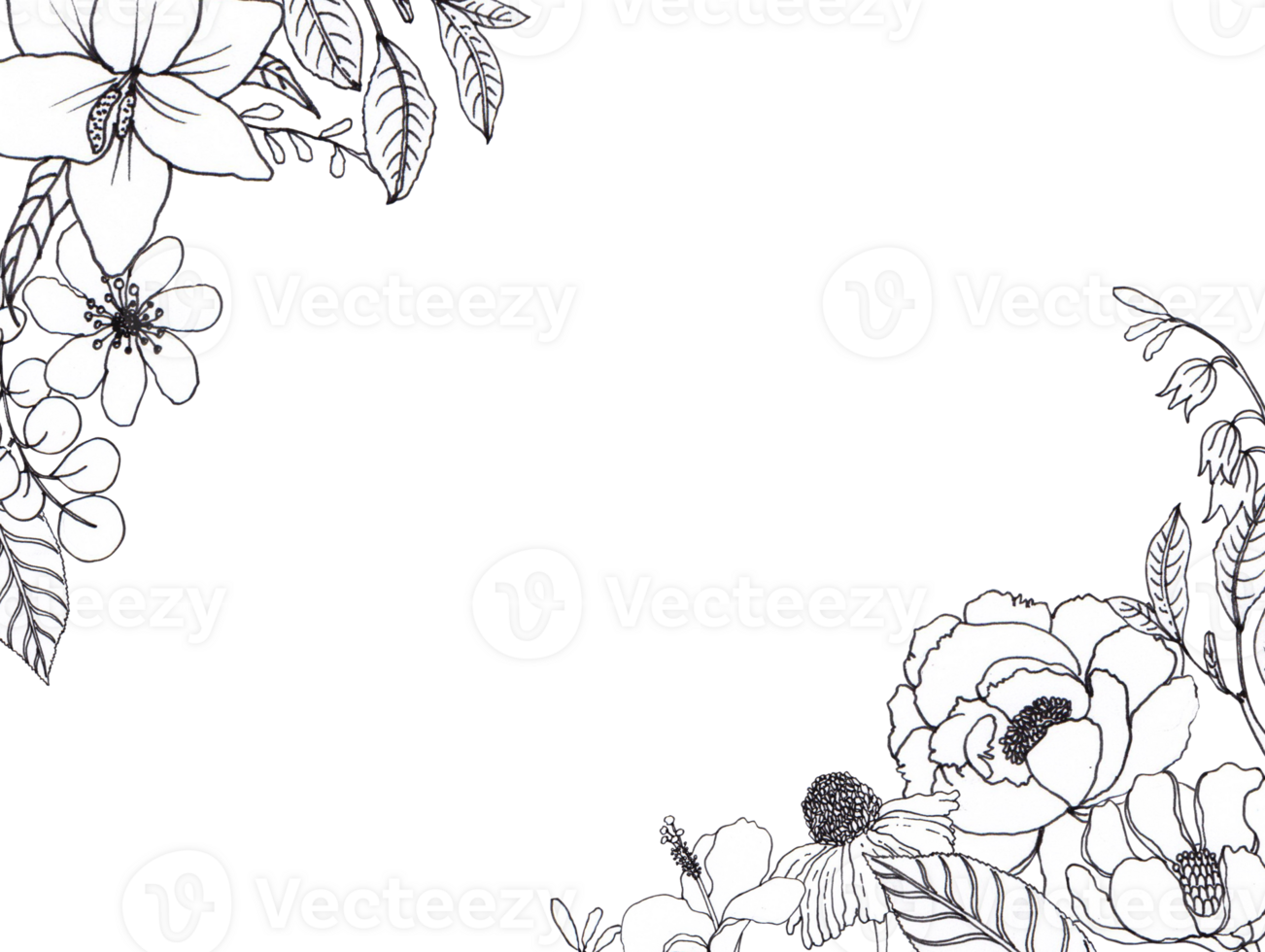 Flower line art frame png