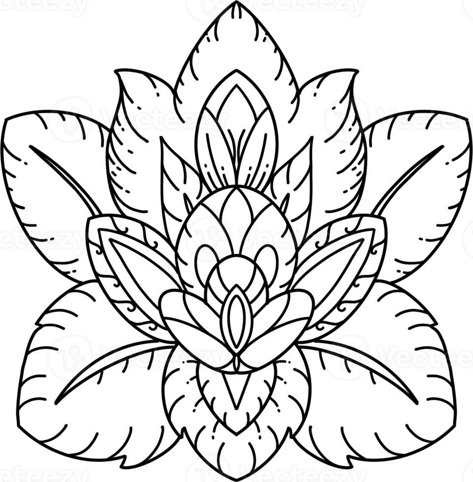 Orchid flower Thai Line Art Style, Hand Drawn Illustration png