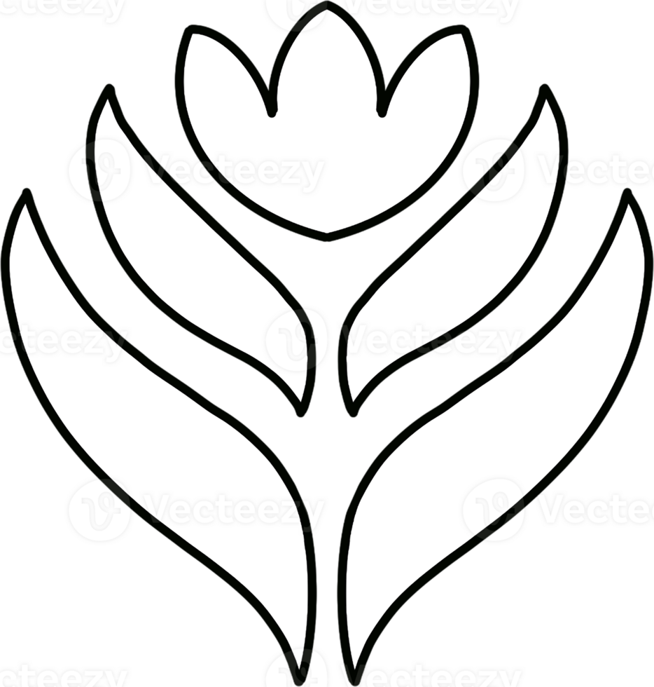 Thai Floral and Leaf Pattern Hand Drawn Illustration png