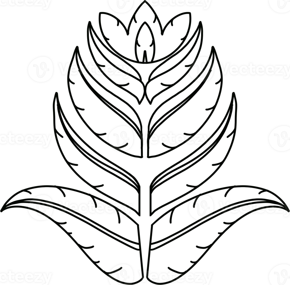 Thai Floral and Leaf Pattern Hand Drawn Illustration png