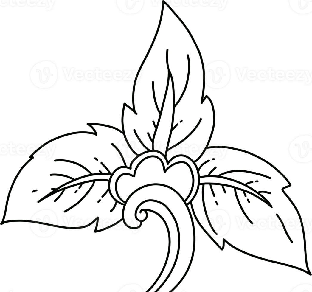 Thai Leaf Line Art Style Hand Drawn Illustration png
