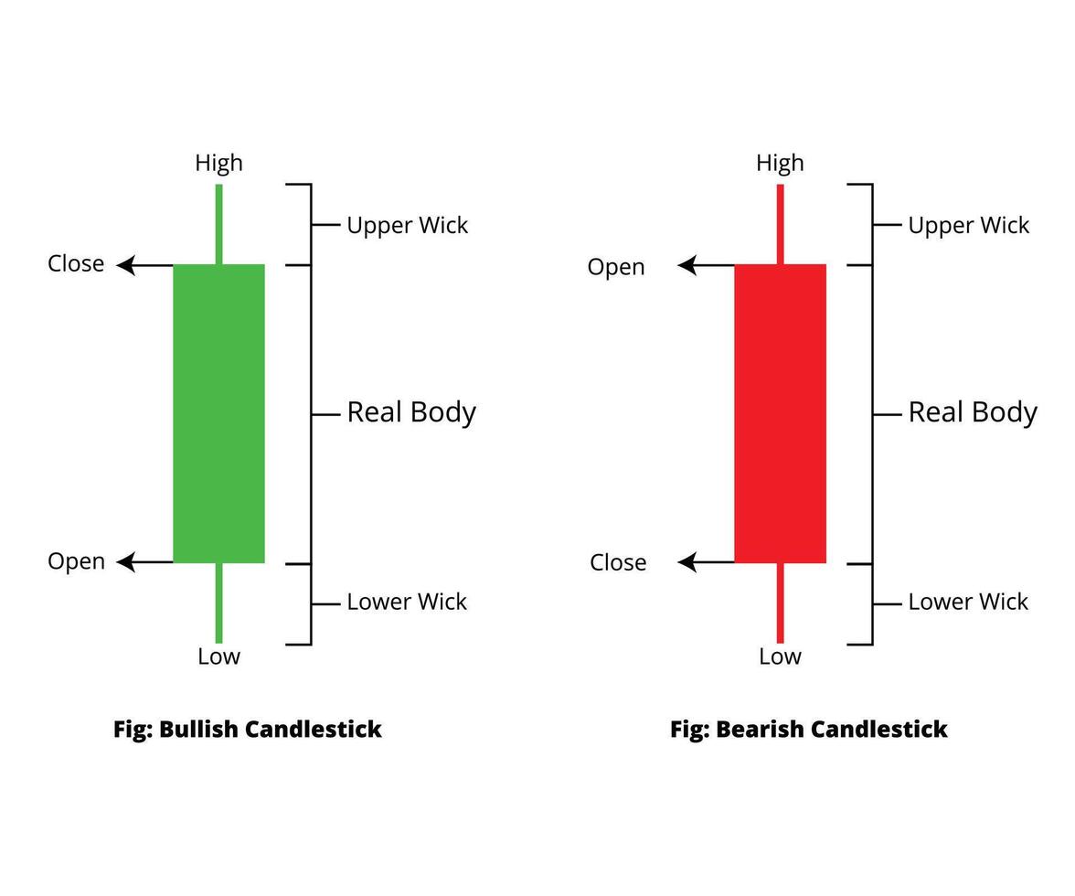 Bullish and Bearish candlesticks.Candlestick isolated on white. vector