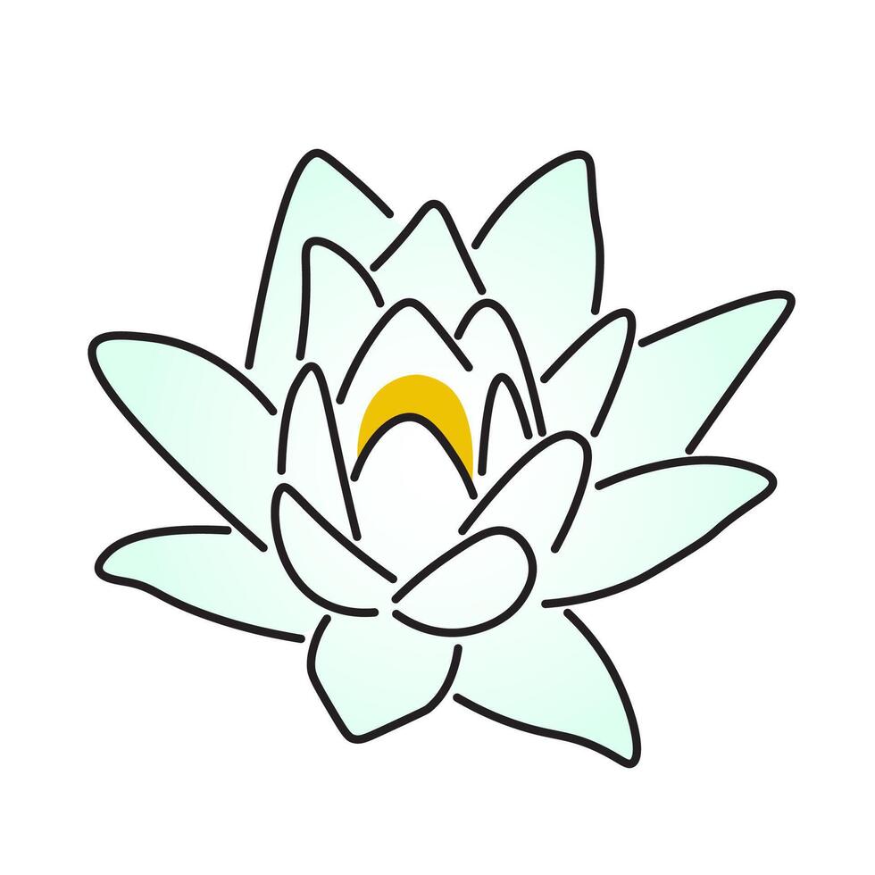 isolated white water lily vector