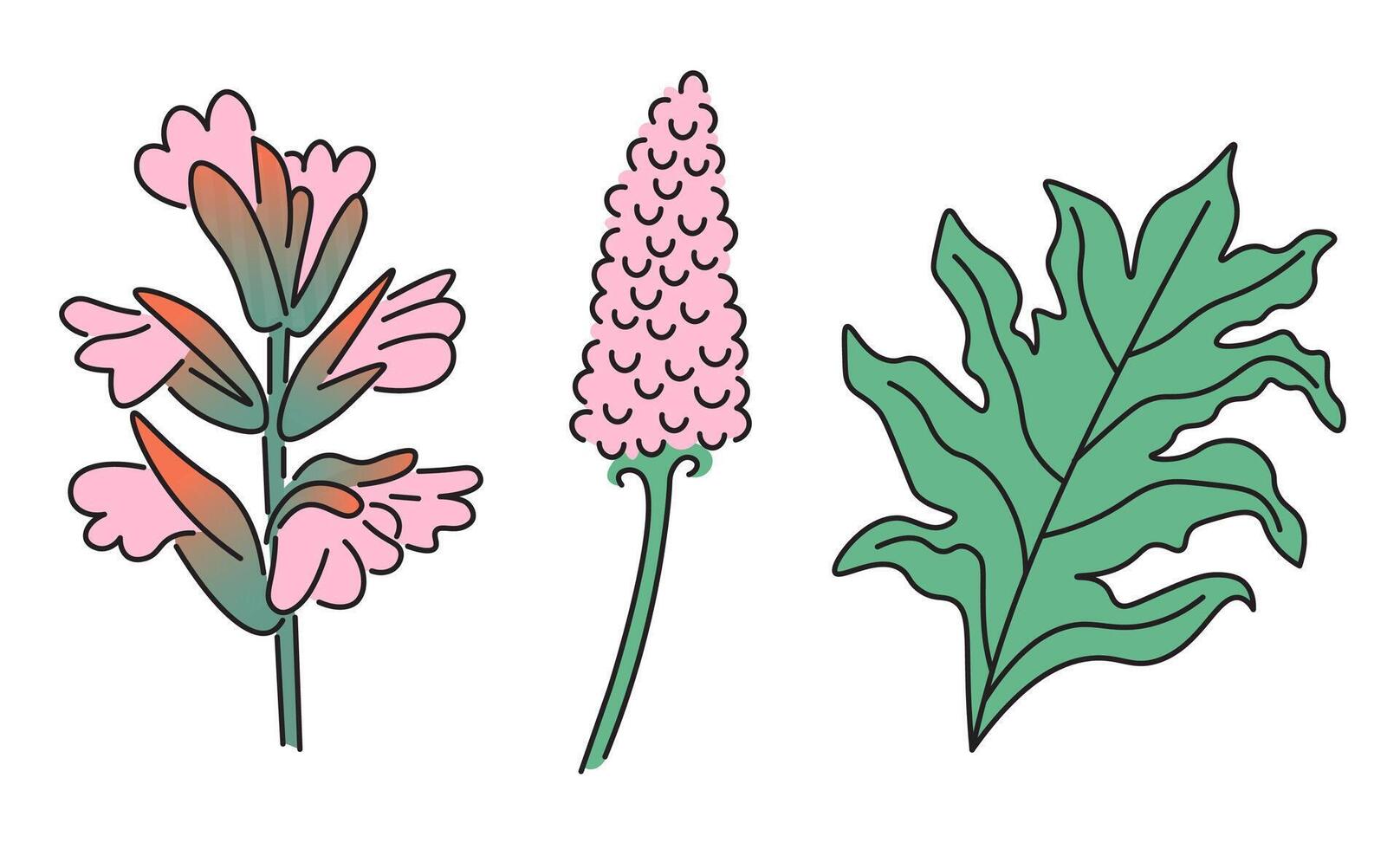 acanthus set in doodle style vector
