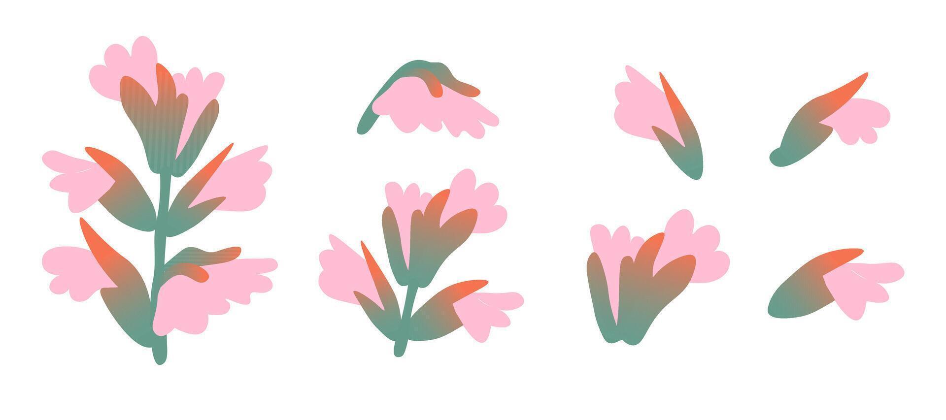 isolated acanthus set in shape style vector