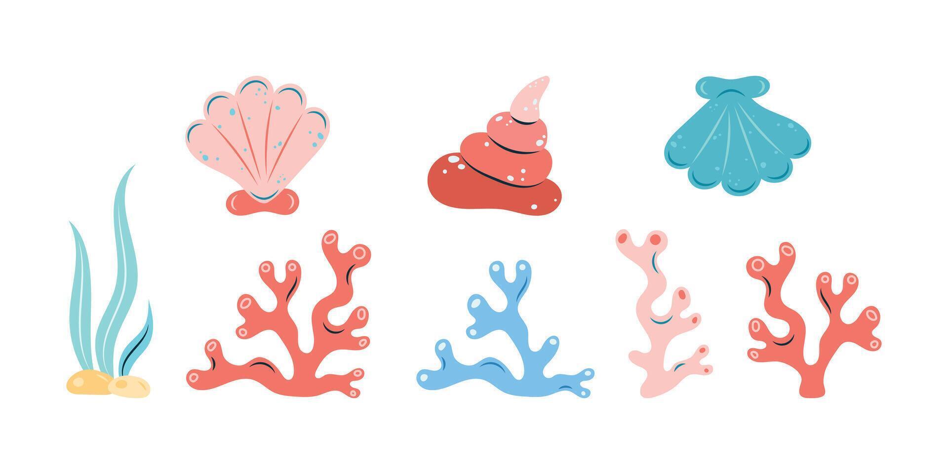 Set of shells and corals. Isolated illustration. vector