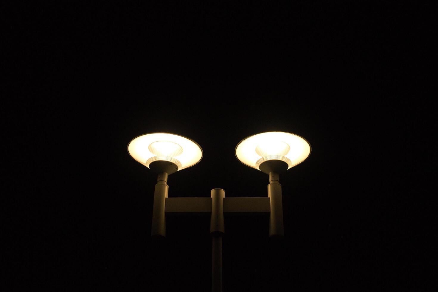 Two street lights are lit up in the dark photo