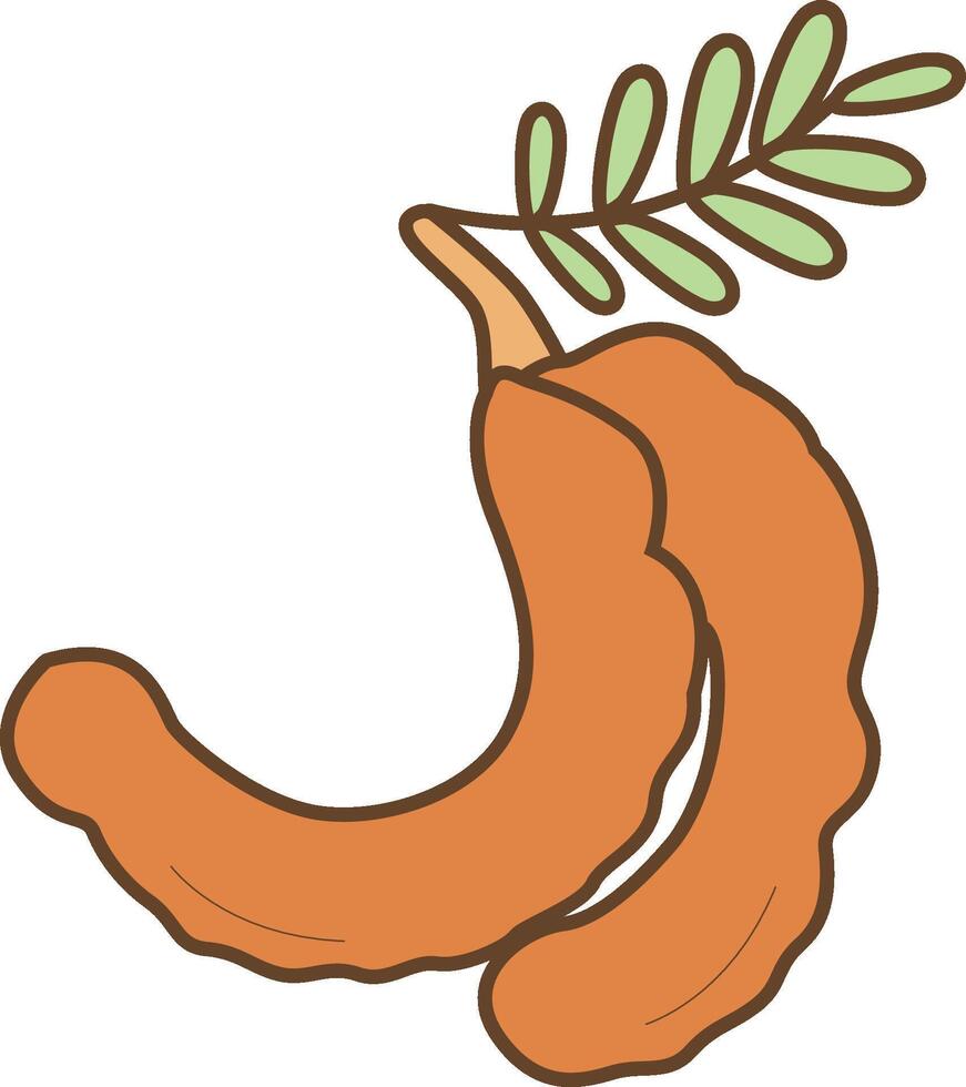 Tamarind Fruit Clipart vector