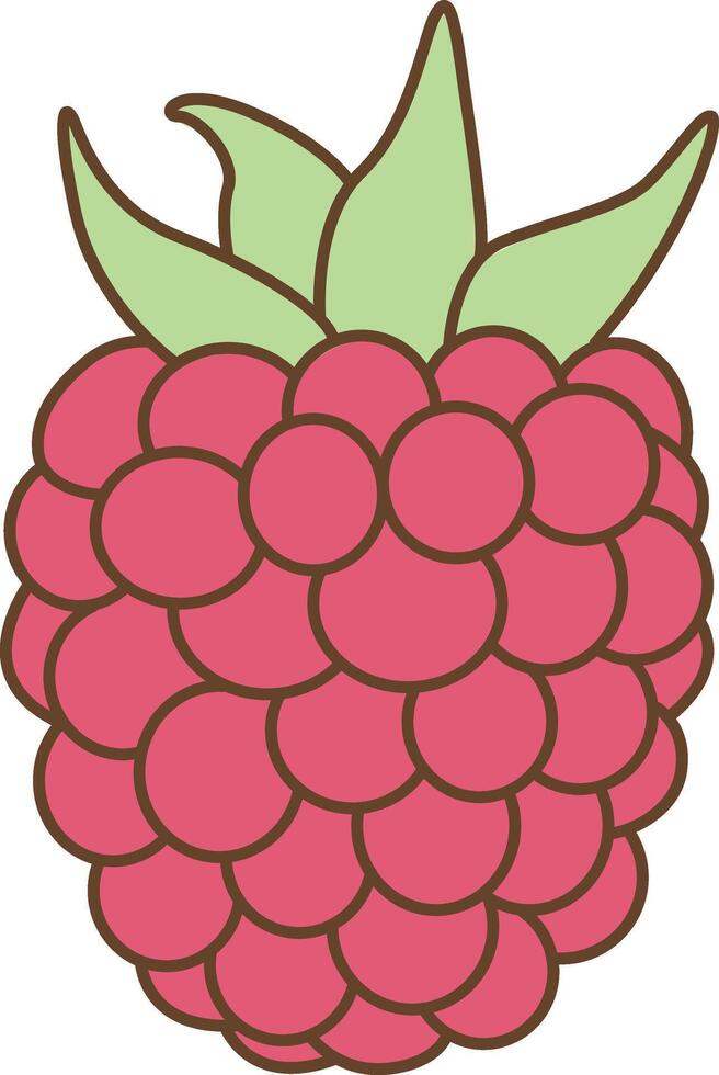 Raspberry Fruit Clipart vector