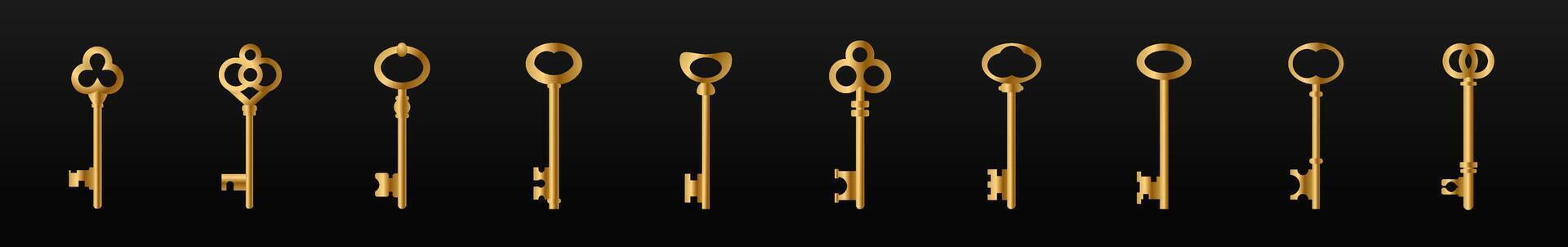 Old vintage golden key skeleton vector