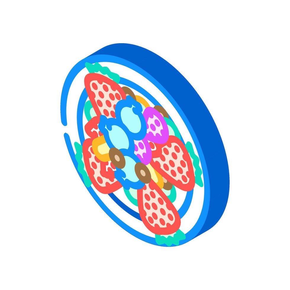 berry mix raw foodist isometric icon illustration vector