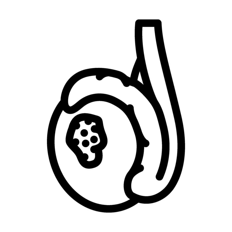 testicular cancer man disease line icon illustration vector