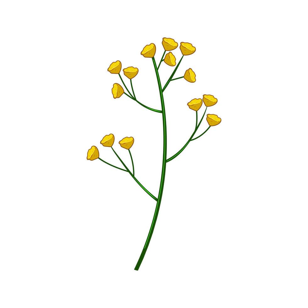 stem flower branch cartoon illustration vector