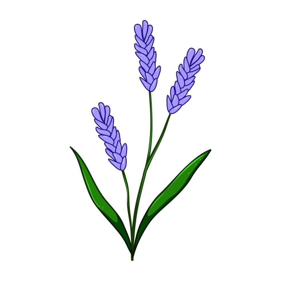 bud flower branch cartoon illustration vector
